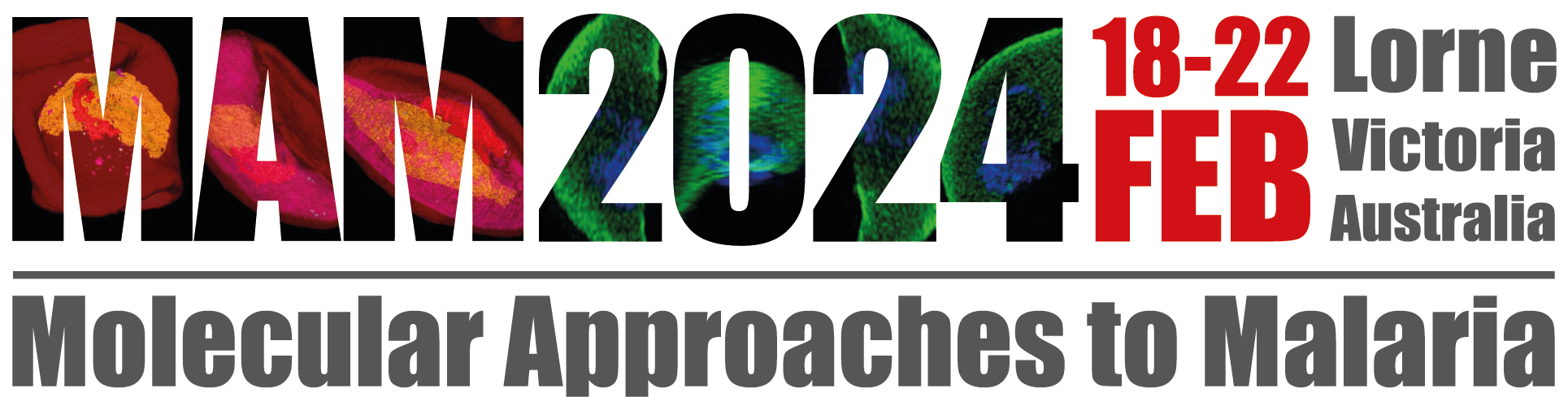 MAM 2024 Logo